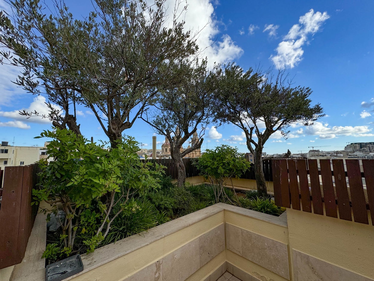 Jardin sur le toit avec vue